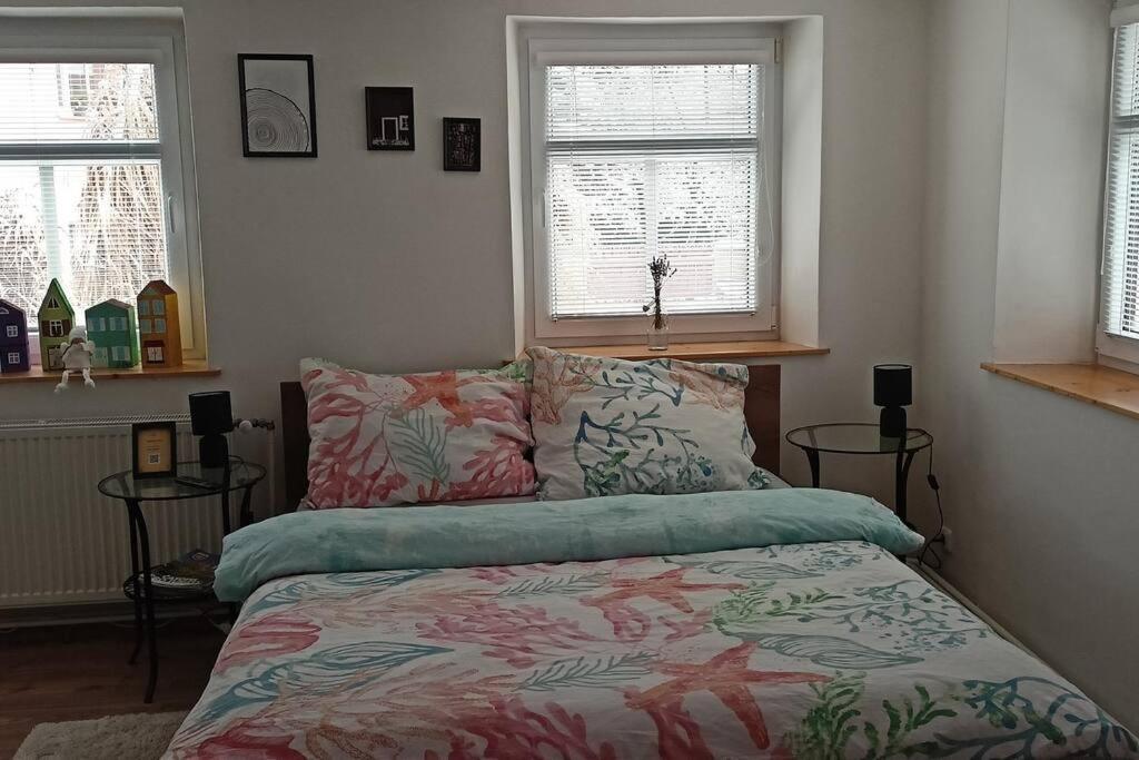 Wellness Apartman Bela 德辛 外观 照片
