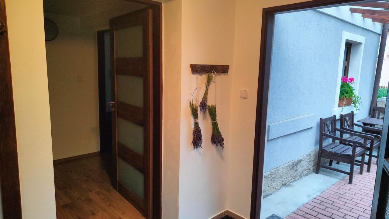 Wellness Apartman Bela 德辛 外观 照片